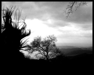 Nell'ombra del mio tempo