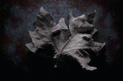 Danza ritmo di morte