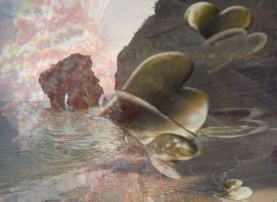 Essere uno tsunami d'Amore