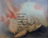 Colgo una conchiglia