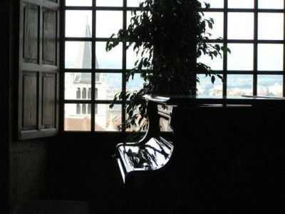 Un viale di rose rosse