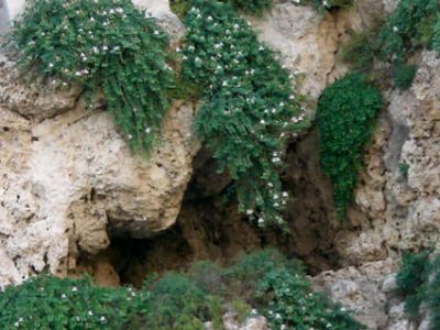 Canto i miei pensieri