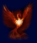 Cosa non sente il cuore