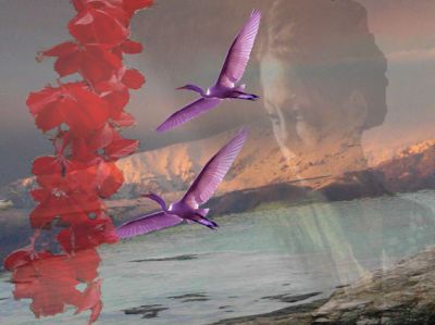 Geisha del tuo corpo