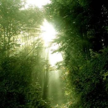 E voli come il vento