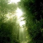 E voli come il vento