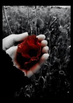 La ballata di Alexan