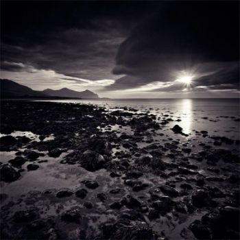 Dall'ombra di quel palpito colpevole  