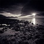 Dall'ombra di quel palpito colpevole  