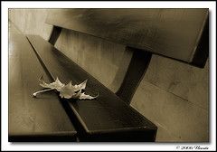 Immutevole malinconia