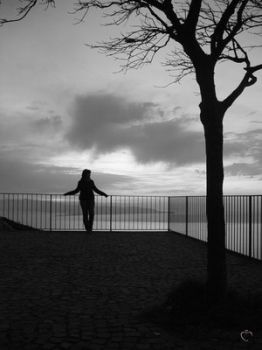 La solitudine dell'albero