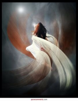 Le mie radici- Il volto del presente