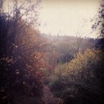 I piedi spingeranno per andare ovunque