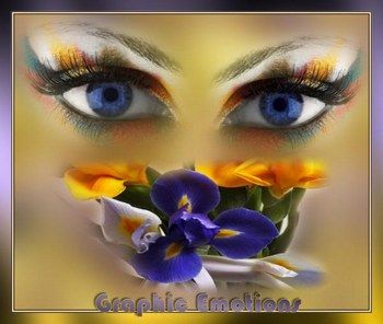 Nel cerchio del mondo