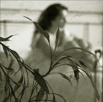 La mia vita senza amore