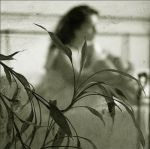 La mia vita senza amore