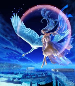 Sopra di noi tanto cielo