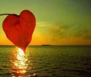 Naufragio della Vita