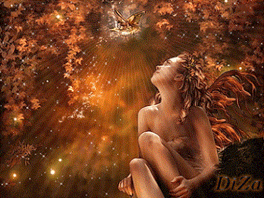 Il Cielo � venuto sulla Terra