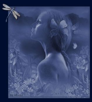 Niente sole nella notte