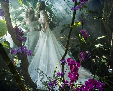 Ho visto l'alba in un cielo di Poesia