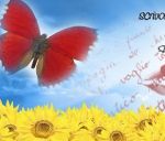 Una ventata di “ felicità”