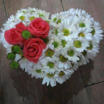 Il dolore incompreso