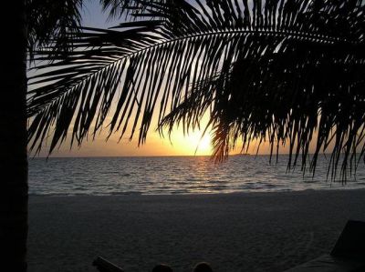 L'armonia della notte