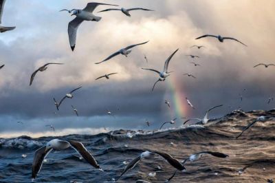 Dipingere con la mente