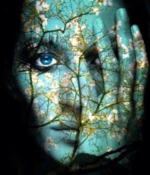 L'ombra scura dell'orgoglio