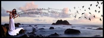 Striller� la notte