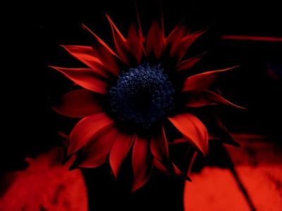 Pensieri im- perfetti