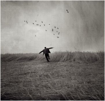 L'uomo che imitava gli aquiloni  