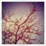 Come tempo d’estate