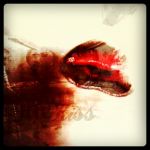 Delicatezze della sera