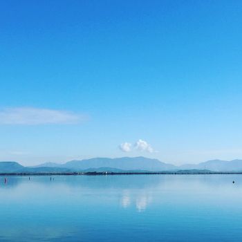 Alle stagioni danzanti