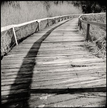 La paura ed il Timore