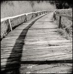 La paura ed il Timore