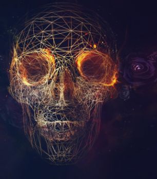 Il Cielo in un Cranio