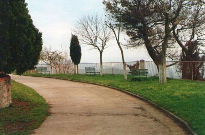 Sulla Coda della Galassia