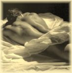 Voglio solo il tuo amore