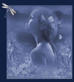 La battaglia dei sensi