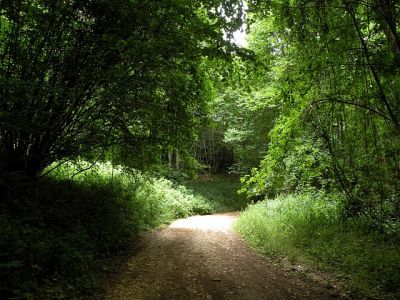 Sono ci� che sento