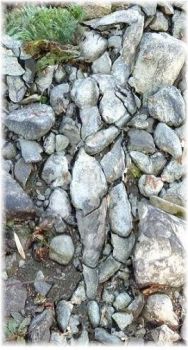 Come qualcosa di vero