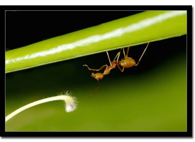 La partita a scacchi