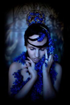 La sera ... che alla notte volge