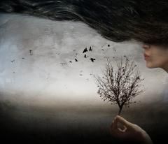 Petali dalle ali fatate