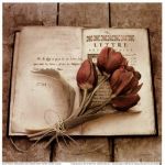 A volte ci� che prima appare