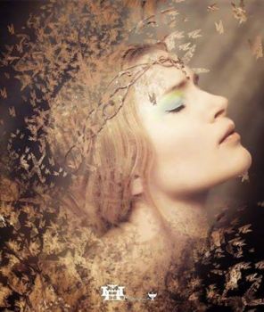 Ultimo pensiero oltre la siepe delle more