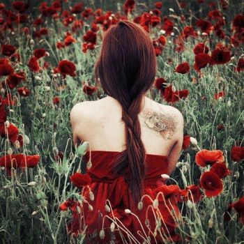 Petali di velluto ovunque sparsi